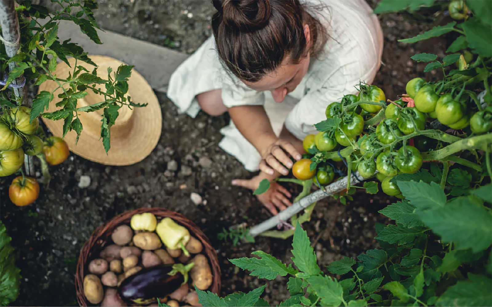 Building a Paleo Perfect Vegetable Garden