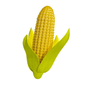 Whole grain yellow corn