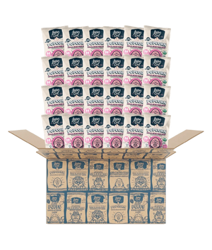 An open box shows 24 snack-sized bags of LesserEvil Snacks Himalayan Pink Salt Organic Popcorn, stacked neatly for ultimate convenience.