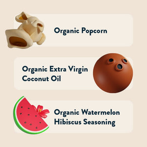Illustrations of popcorn, coconut, and watermelon slice with text: LesserEvil Watermelon Hibiscus Popcorn and Organic Extra Virgin Coconut Oil.