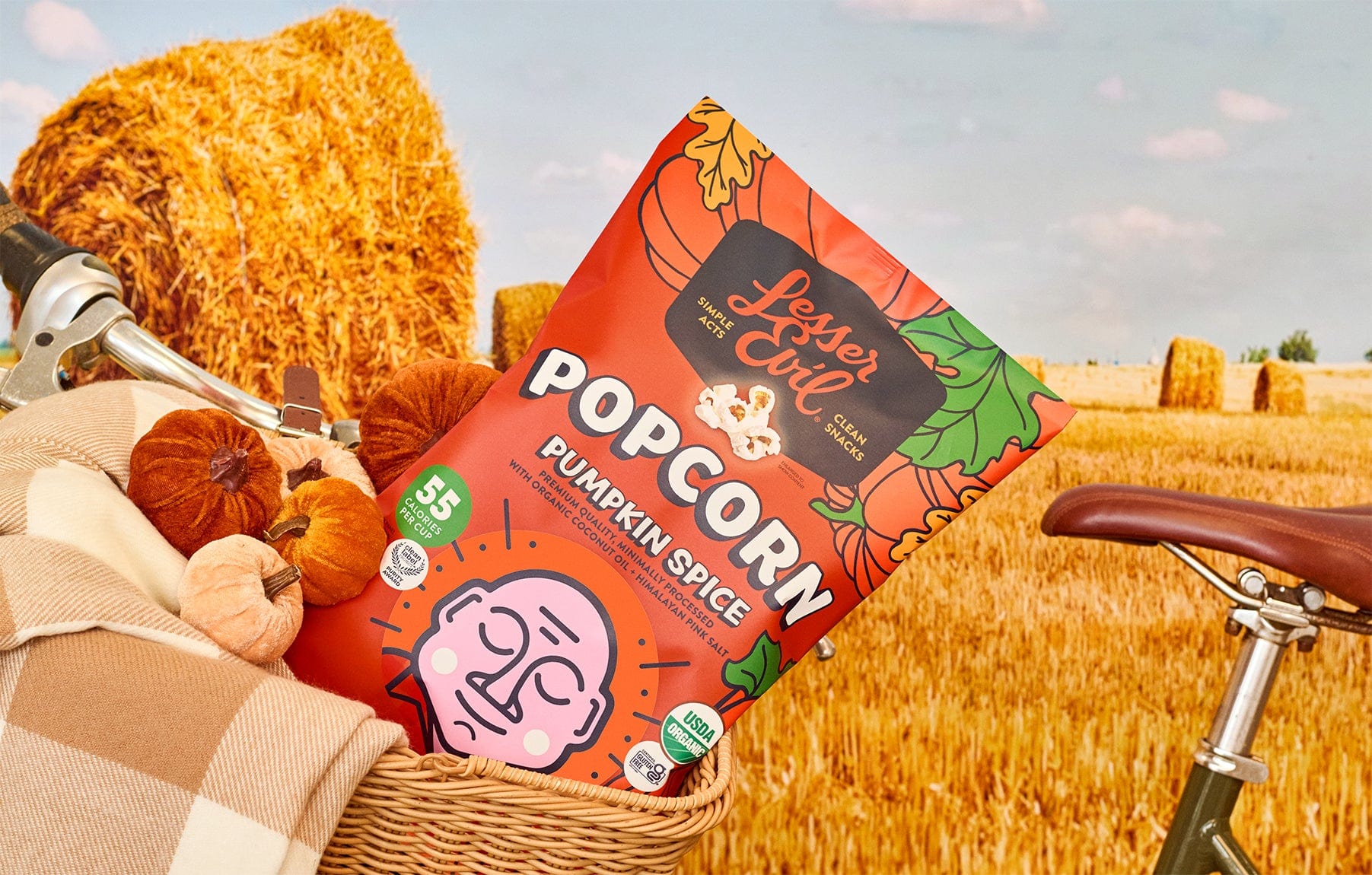 Pumpkin Spice Popcorn | LesserEvil Snacks | Organic Popcorn