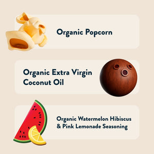The Summer Popcorn Snack Pack by LesserEvil Snacks features organic popcorn in watermelon hibiscus and pink lemonade flavors, plus coconut and watermelon illustrations.